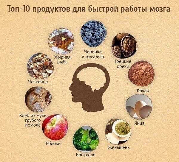Как правильно выбрать ноотропы среди популярных пищевых добавок для улучшения памяти