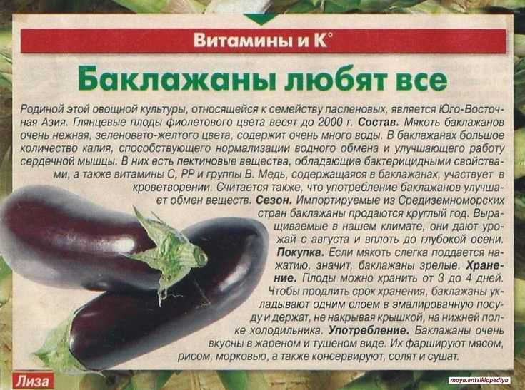 Что скрывается под фиолетовой кожурой: факты, которые удивят