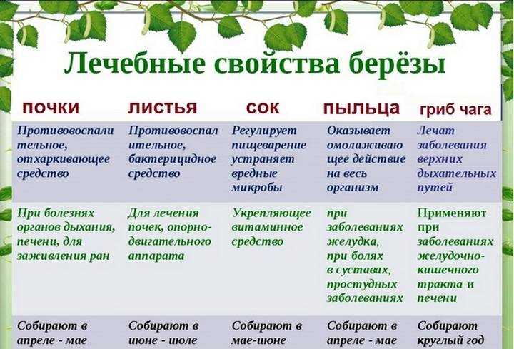 Как не навредить себе и дереву