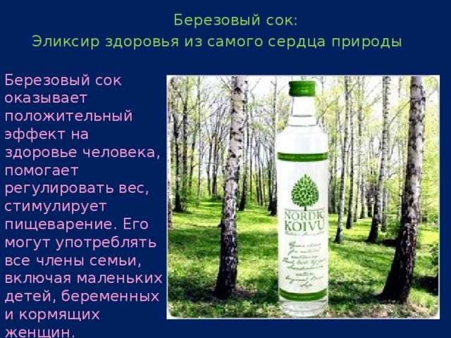 Листья, почки и кора: аптека под ногами