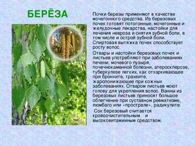 Сок, который не купишь в магазине