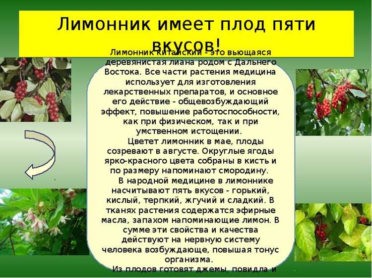 Где брать и как хранить, чтобы не выбросить деньги на ветер