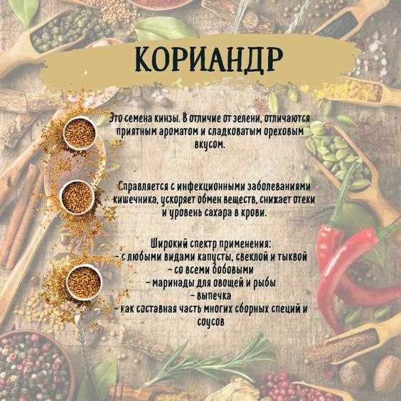 Чем полезен кориандр – свойства семян для организма и противопоказания