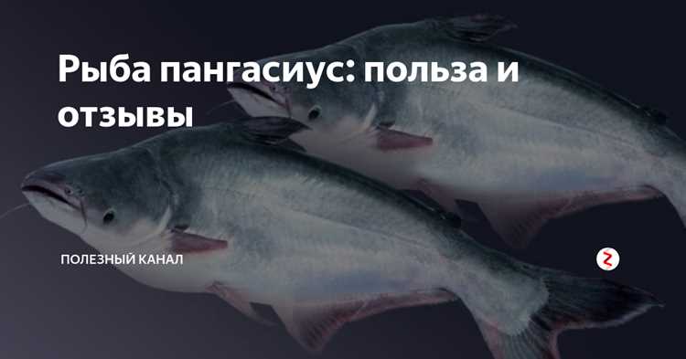 Чем полезен пангасиус для здоровья и его вред