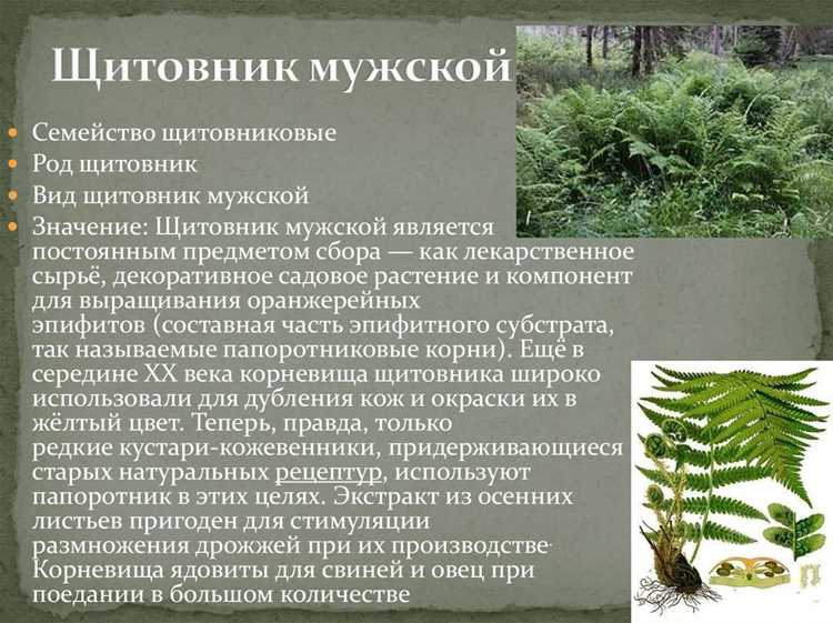Что говорят учёные и стоит ли им верить?