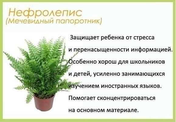Как приготовить, чтобы не было мучительно больно