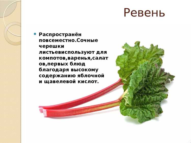 Когда кислота превращается в яд: о чём молчат инста-блогеры