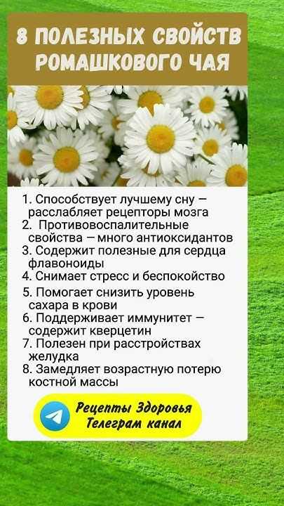 Как заваривать, чтобы не испортить: лайфхаки от тех, кто пробовал