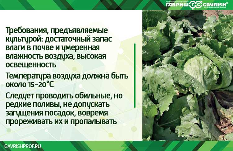 Что из него делать: от классики до неожиданных экспериментов