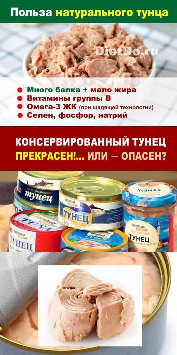 Белок без заморочек: почему это важно даже для тех, кто не качает мышцы