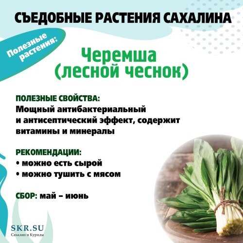 Как есть её, чтобы не пожалеть