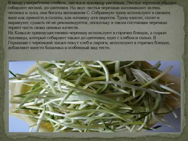 Когда она превращается из друга во врага