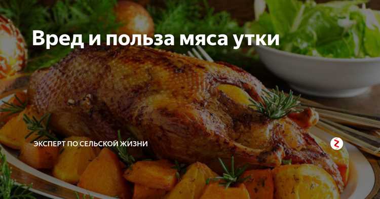 Чем полезна и вредна утка для женщин