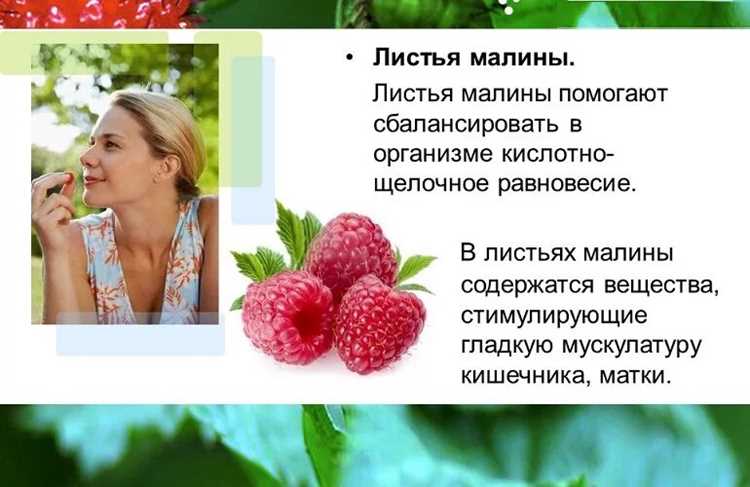 Чем полезна малина для женщин – свойства ягод и листьев Чем полезна малина для женщин – свойства ягод и листьев