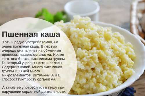 Чем полезна пшеничная каша для организма человека Чем полезна пшеничная каша для организма человека