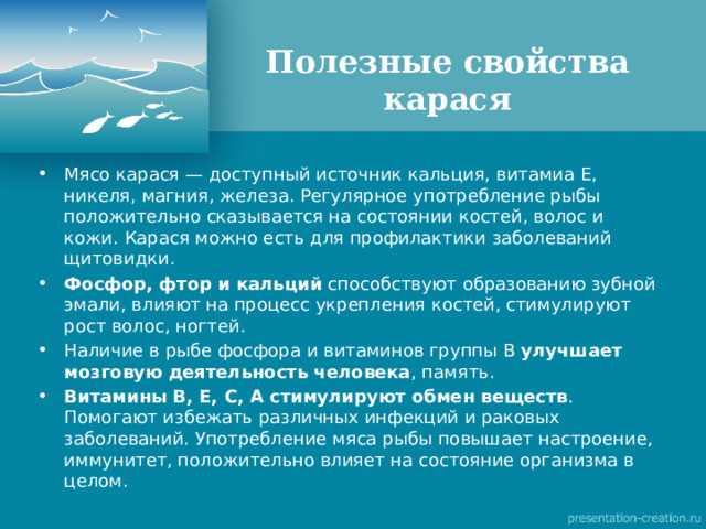 Какие витамины и минералы содержит карась и как они влияют на здоровье