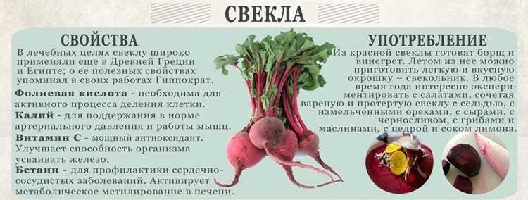 Какие витамины и минералы сохраняются в свекле после термической обработки