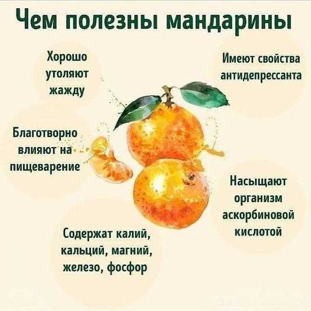 Чем полезны цитрусовые и какие у них свойства