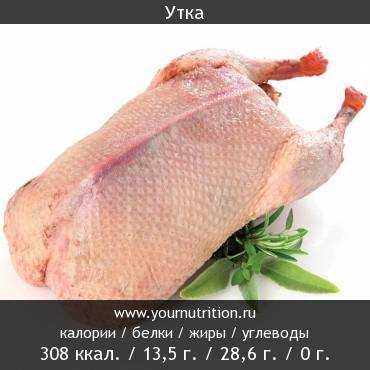 Чем полезно мясо гуся для человека и его свойства Чем полезно мясо гуся для человека и его свойства