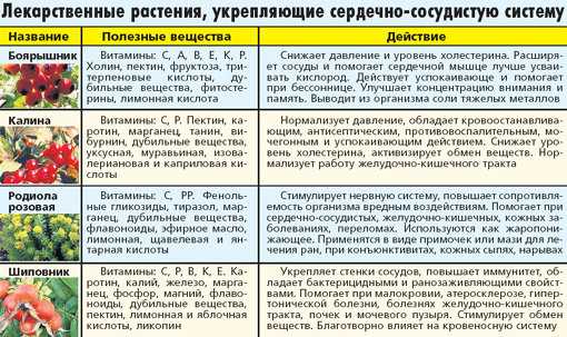 Что нужно есть, чтобы не было тромбов – список продуктов