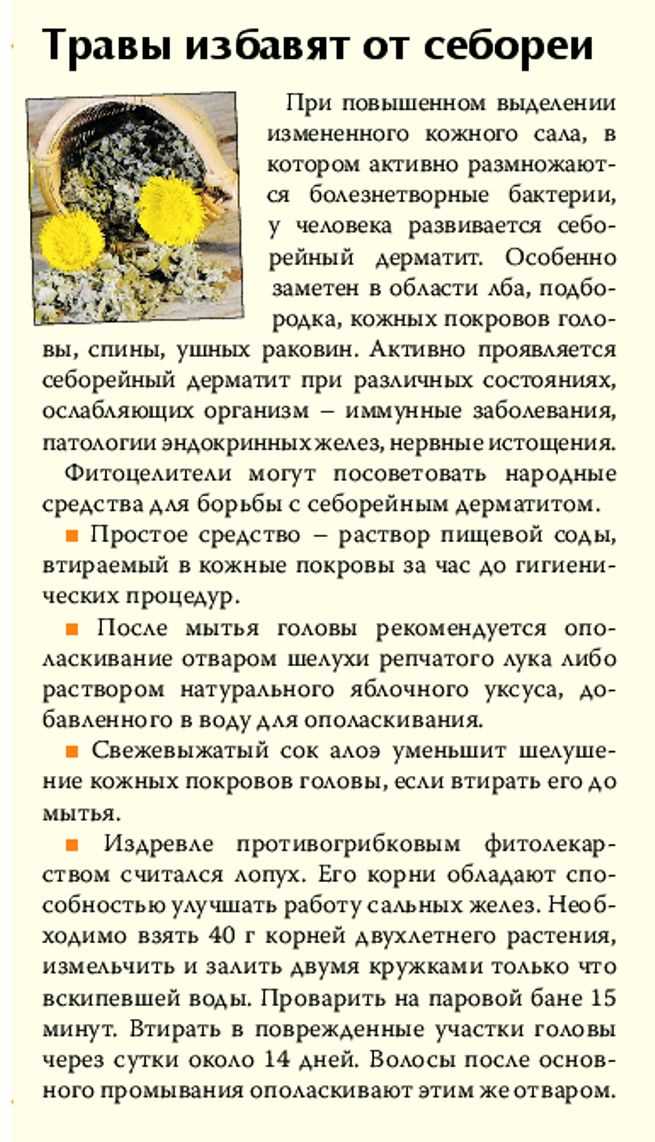 Масло чайного дерева: когда природа знает толк в антисептиках