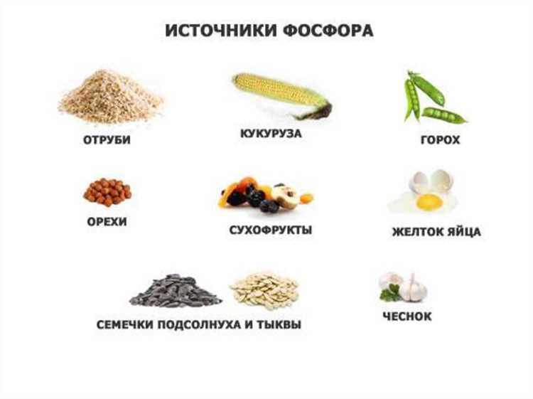 Растительные источники: не только для веганов