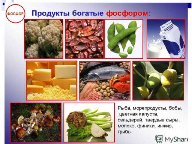 Фосфор в продуктах питания – список ТОП-20, где содержится Фосфор в продуктах питания – список ТОП-20, где содержится