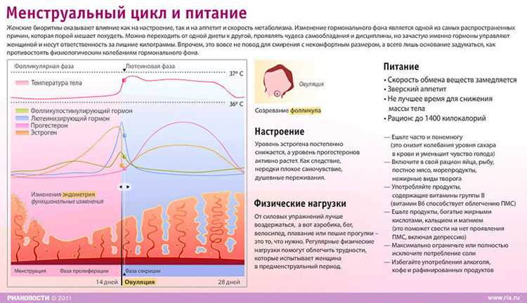 Какие фазы снижают работоспособность и как к ним подготовиться