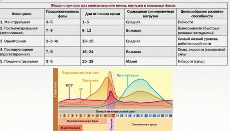 Фазы, которые портят (или спасают) ваши планы