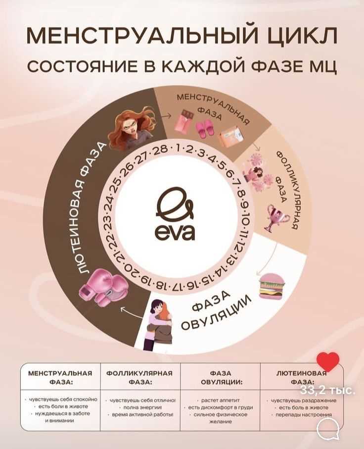 Какие продукты поддерживают гормональный баланс в фолликулярной фазе?