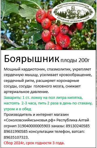 Замороженные ягоды: когда природа даёт второй шанс