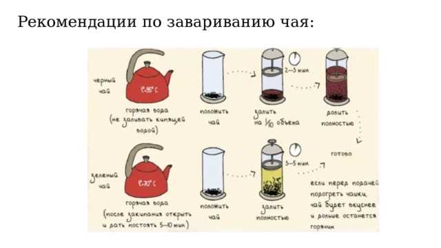 Как правильно заваривать листовой зелёный чай и в пакетиках