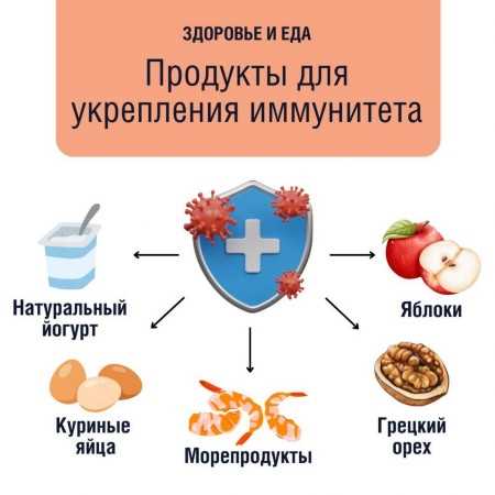Еда, которая не даст вам превратиться в ходячий инкубатор для вирусов