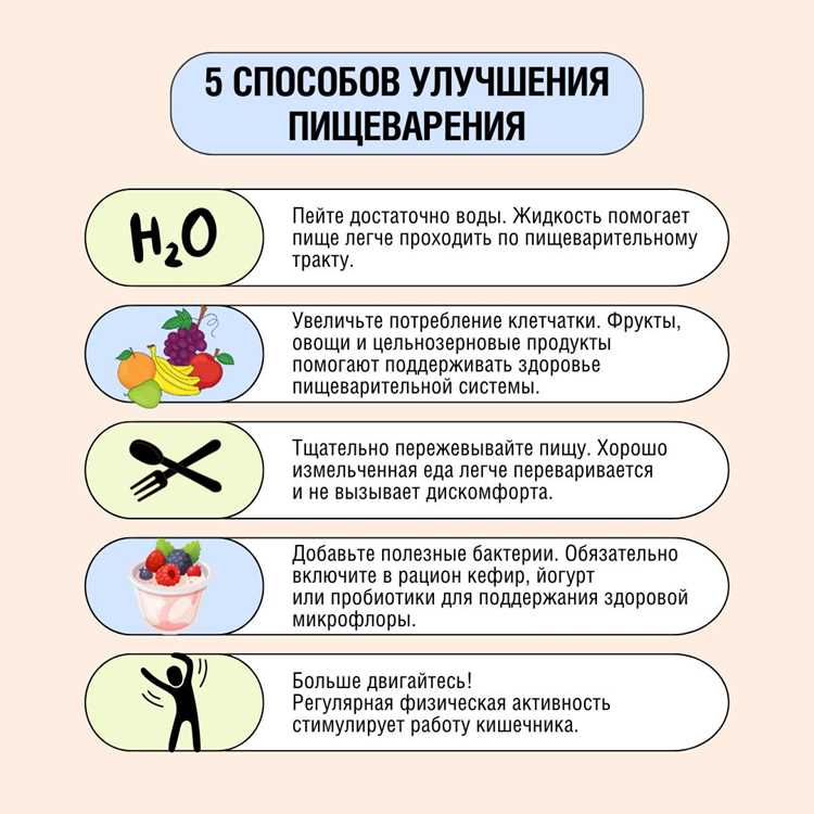 Какие продукты обязательно включить в рацион для здорового пищеварения