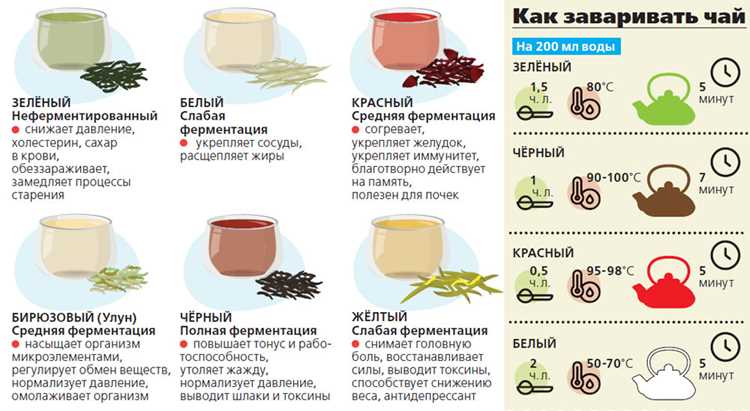 Листья – не пакетики, и это важно