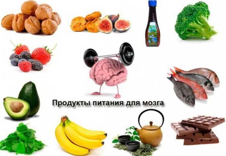 Антиоксиданты: защита мозга от старения