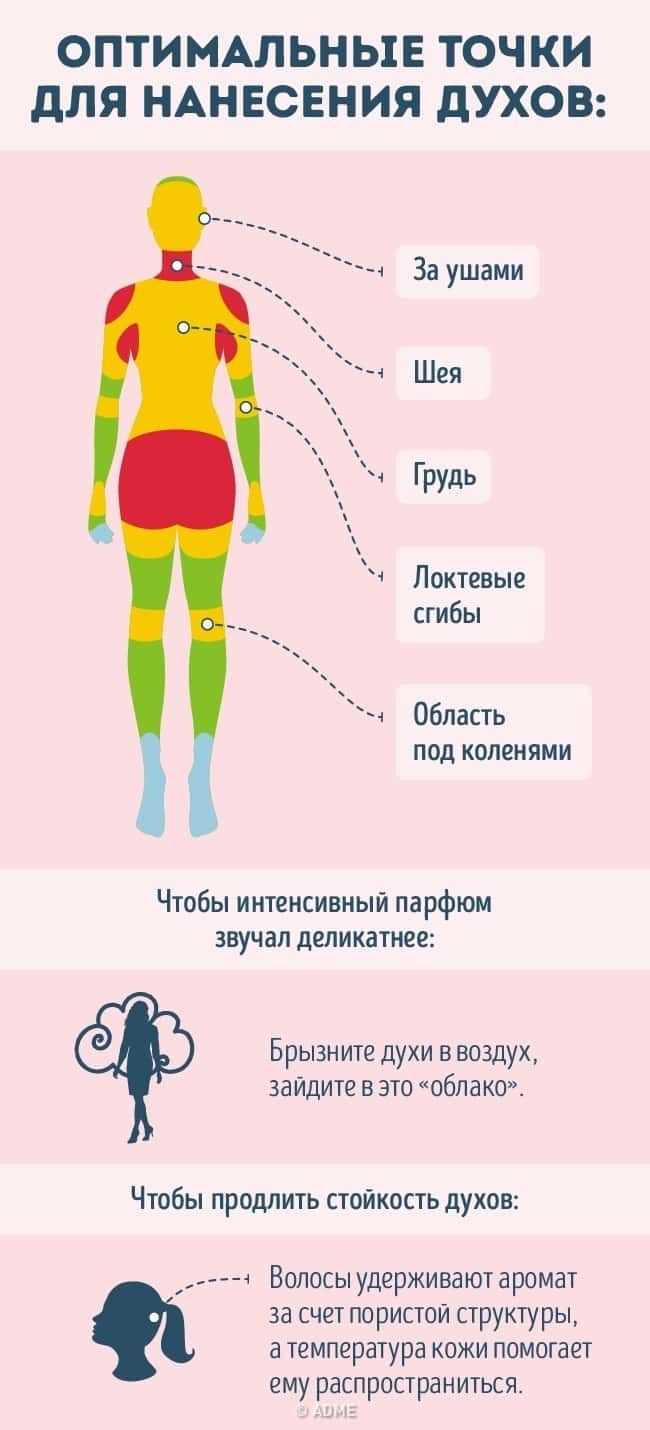 Куда и как правильно наносить парфюм