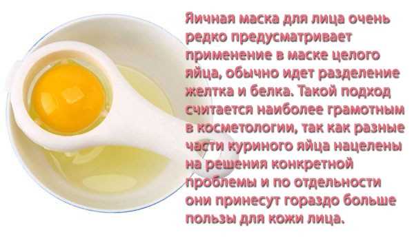 Какие части яйца использовать для разных типов кожи