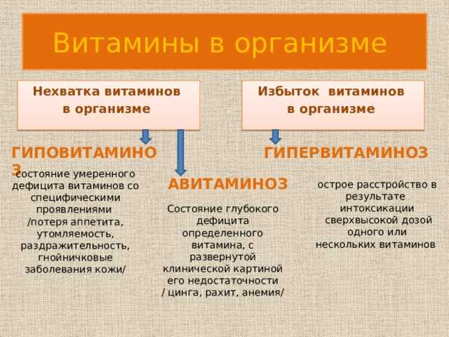 Операция «ликвидация гиповитаминоза»: во всеоружии к лету