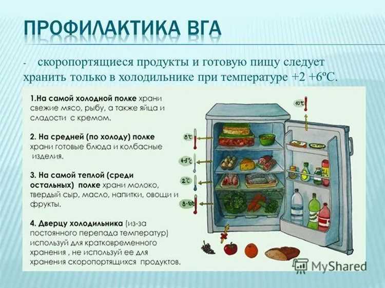 Почему продукты питания хранят в холодильнике и как правильно это делать