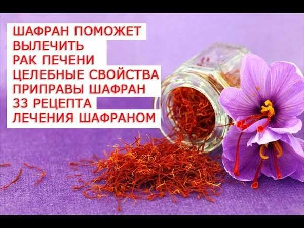 Полезные и лечебные свойства шафрана для женщин и его применение Полезные и лечебные свойства шафрана для женщин и его применение