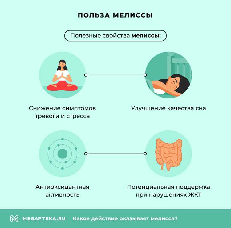 Как мелисса влияет на гормональный баланс и менструальный цикл