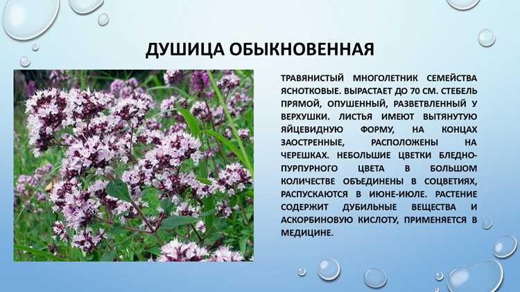 Когда лучше не рисковать: осторожность не помешает