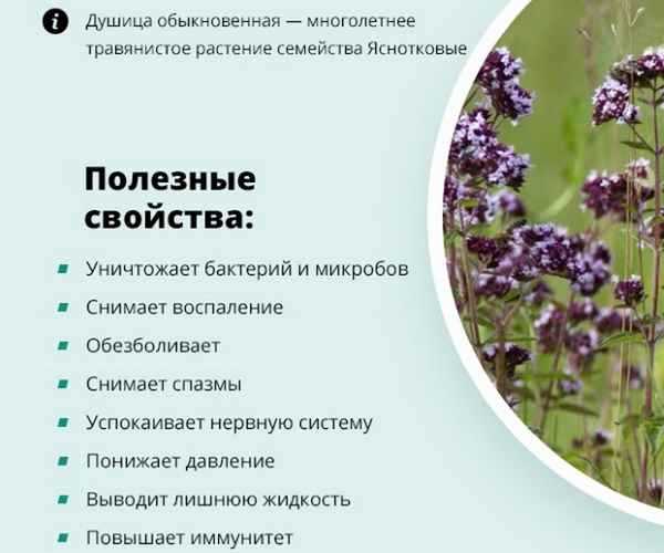 Чем она так хороша: от менструаций до менопаузы