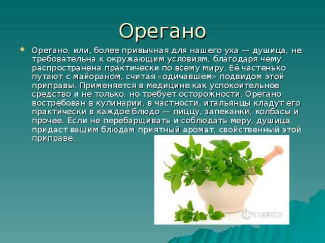 Как правильно готовить и употреблять: лайфхаки от тех, кто пробовал