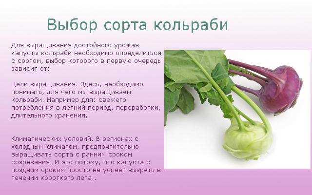 Как ее готовить, чтобы не испортить (и не разочароваться)