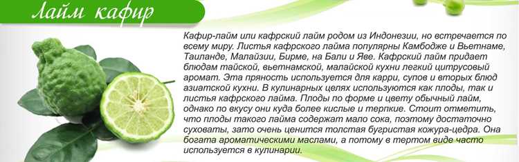Полезные свойства лайма и пищевая ценность – как употреблять фрукт в чае Полезные свойства лайма и пищевая ценность – как употреблять фрукт в чае