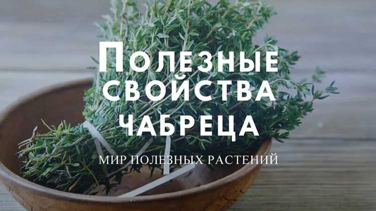Какие витамины и минералы содержатся в тимьяне и как они влияют на организм