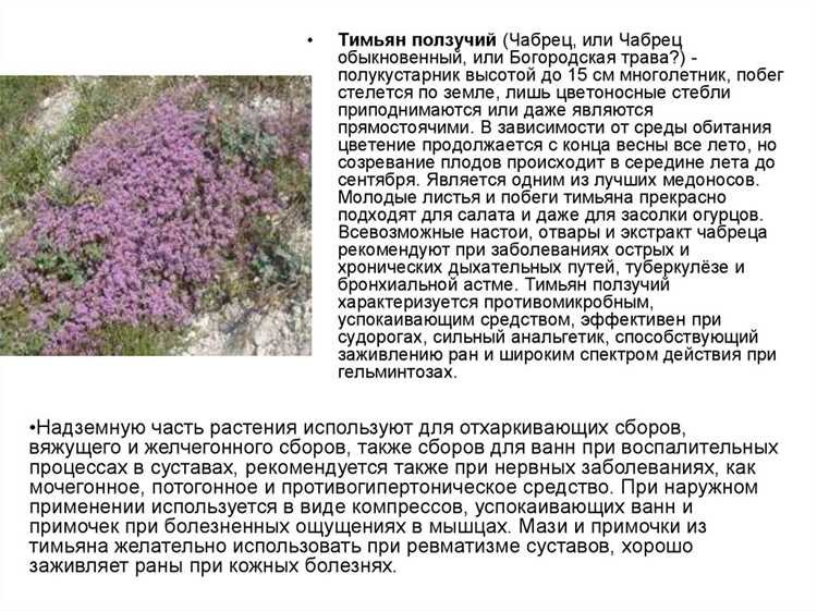 Как правильно использовать: от чая до ванн