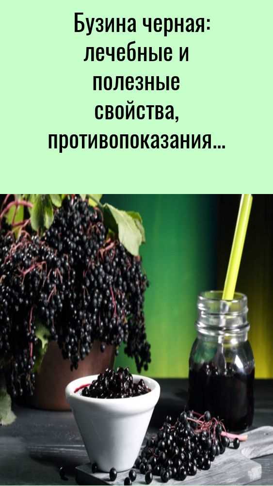 Где брать и как хранить – чтобы не остаться без лекарства на зиму